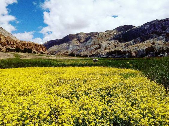 Lower Dolpo Circuit Trek