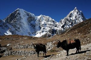 Tamang Heritage Trek