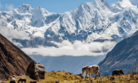 How Hard is Manaslu Circuit Trek