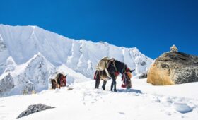 Best Season for Trekking Tsum Valley Trek