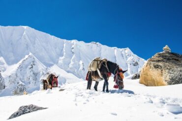 Best Season for Trekking Tsum Valley Trek